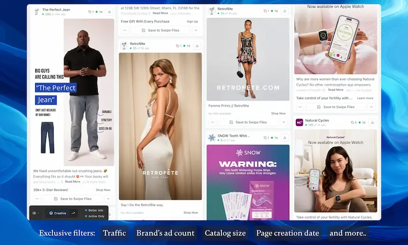 Brandsearch ad discovery dashboard with Meta and TikTok ads